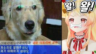 방송 켜고 진짜 '개소리'만 하는 카나데 ㅋㅋㅋ