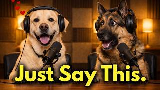 5 Phrases That Calm Any Dog Instantly