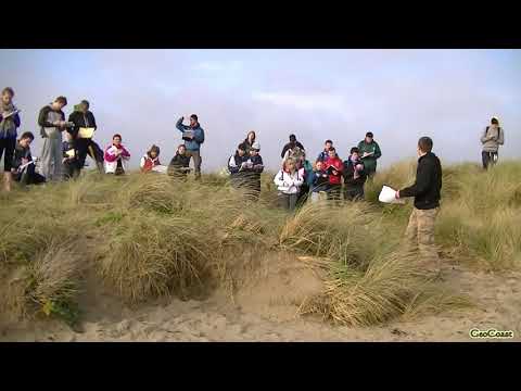 Introduction to COASTAL LANDFORMS (EROSIONAL vs DEPOSITIONAL)