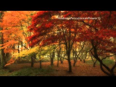 IGOR KRUTOI - You in my september