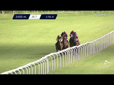 Nagroda Widzowa (Specjalna) - (kat.B) 11.06.2022 - (Dzień 12; Gonitwa 7)