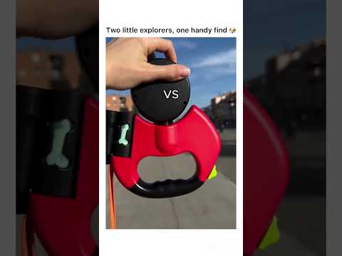 A clever dog-walking find