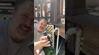 An accidental tomato surplus becomes a DIY drip irrigation project