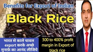 how to export black rice from india/ benefits of black rice export from chhattisgarh