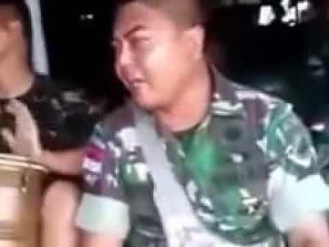 TNI || pitek angkrem selikur dino