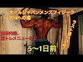 【JBBFオールジャパンメンズフィジークへのカウントダウン③】フィジークコンテスト5~1日前のトレーニングと食事内容