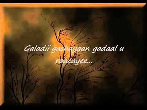 Axmed sharif killer iyo luul jeylaani