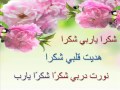 Shukran Ya Rabi Shukran Hadaita Qalbi Shukran