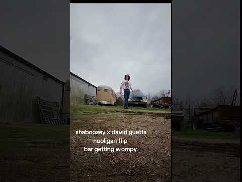 shaboozey x david guetta flip
