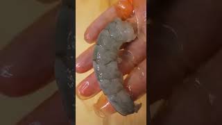 Download lagu The Fastest, Easiest Way to Peel and Devein Shrimp Without Knife #shorts mp3 Download lagu The Fastest, Easiest Way to Peel and Devein Shrimp Without Knife #shorts mp3