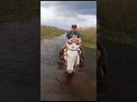 cabalgata don tacho...Concepción (corrientes)