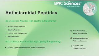 Antimicrobial Peptides: Definition & Applications - What are Antimicrobial Peptides - BOC Sciences