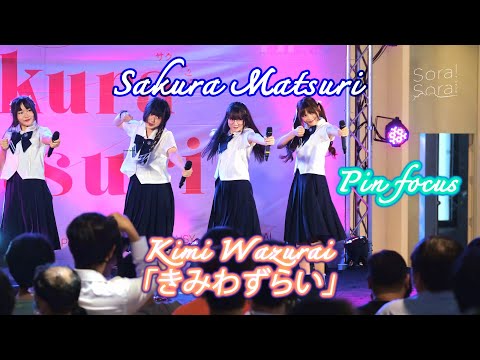 20220424 Kimi Wazurai「きみわずらい」ー Maneki Kecak Cover【Pin Sora Sora Focus】- Sakura Matsuri @ The Market