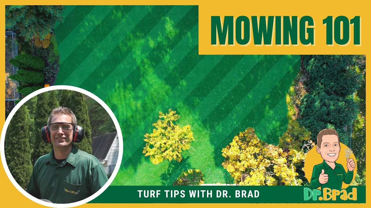 Lawn Mowing 101 | Turf Tips with Dr. Brad - Weed Man Lawn Care
