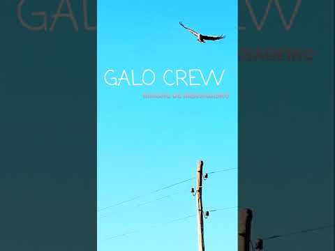 GALO CREW -  MISSÃO DE MENSAGEIRO