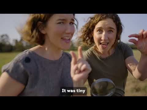 Teeny Tiny Stevies: A Tiny Dragon | Official Music Video