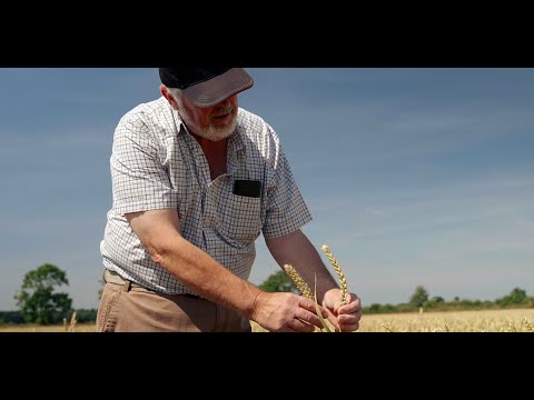 ADM’s Regenerative Agriculture Program on Home Farm in Staffordshire, UK