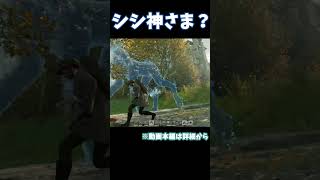 【Nightingale -ナイチンゲール- 実況】まさかのシシ神さまに出会う #Shorts #Nightingale #ナイチンゲール　#境域トラベラー