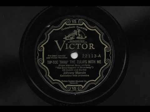 Tip-Toe Thru' The Tulips With Me - Johnny Marvin - 1929