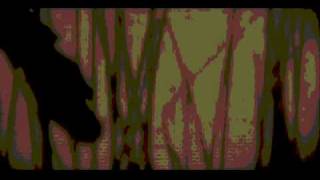 Monochrome Set - Karma Suture.wmv