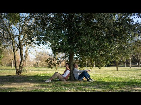 Davide Scavolini - Come Stelle (Official Video)