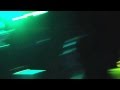 Marco Benevento - Limbs of a Pine - Twibe Dance Party at Brooklyn Bowl - 12/19/14