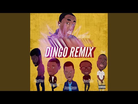 Dingo Remix