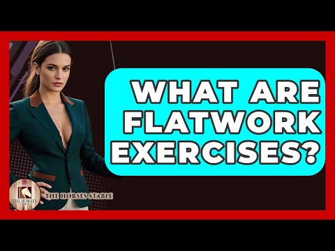What Are Flatwork Exercises? - The Horses Stable