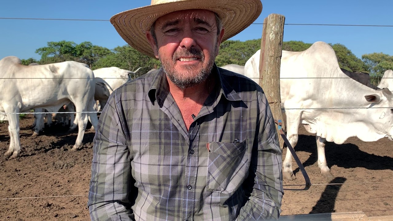 Confinamento Brasileiro de bois 🐂 (04)