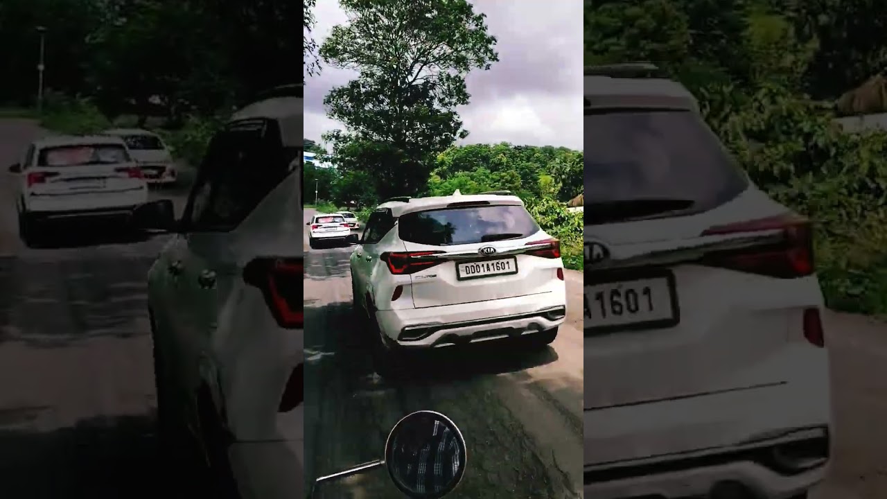 Nature 🍄‍🟫 be like #shortsfeed #facts #shorts #short #trending #nature #naturelovers #shortvideo