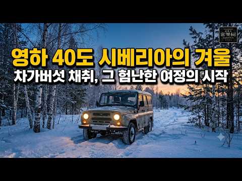 차가버섯 채취 준비