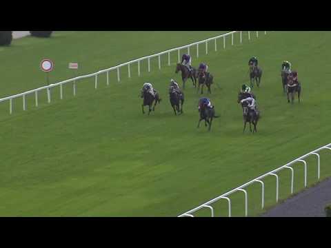 8. dostih - CENA DOSTIHOVÝCH SÁZEK TIPSPORTU - dostihy Velká Chuchle 11. 5. 2019