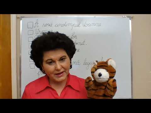 068, Lectii online, CLR, Clasa a II-a - Notiunea de propozitie