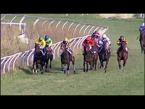 Napoli Galoppo 03/01/2023 - 4ª corsa