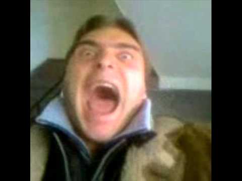 Alfa 5 - Pajo Renesansa [2013]