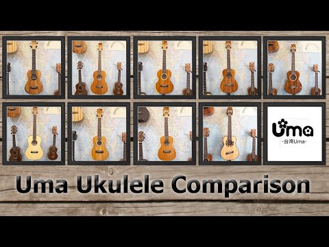 Uma Ukuleles - 9 Ukulele Model Comparison
