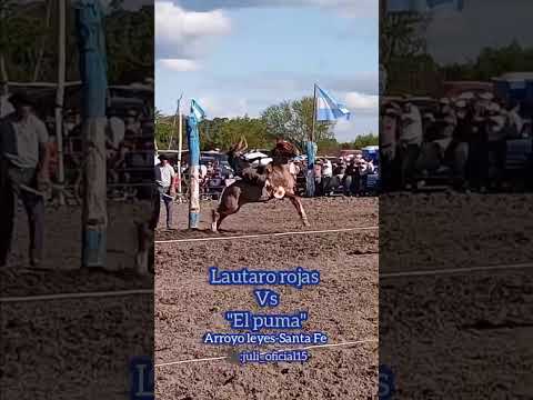 De un domingo por Arroyo leyes-Santa Fe📌🤠 Lautaro rojas vs "El puma"✨Mí ig:juli_oficial15🌹#jinete