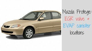 Mazda Protege: Where is the EVAP canister & EGR Valve
