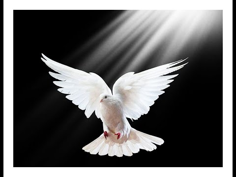 Karl Jenkins: The Armed Man: A Mass For Peace (XII. Benedictus) National Youth Choir/Karl Jenkins.