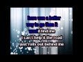 Fiona Apple -  Extraordinary Machine (karaoke)