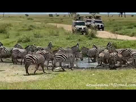 The captivating natural beauty of Tanzania!