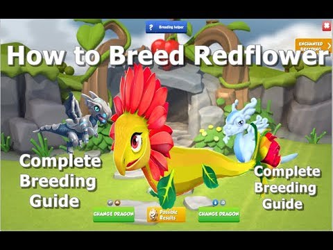 How to Breed Redflower Dragon-Dragon Mania legends | Dragon of The Week Redflower Dragon  | DML | HD