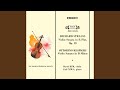 Violin Sonata In B Minor : III. Passacaglia: Allegro moderato ma energico