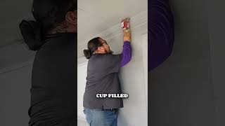 The Most Clever Wasp Nest Removing