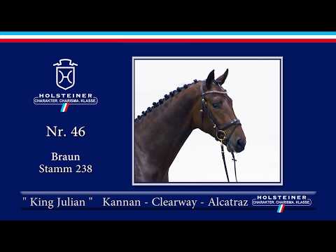 Holsteiner Körlot 2018 | Nr. 46 - KING JULIAN v. Kannan - Clearway
