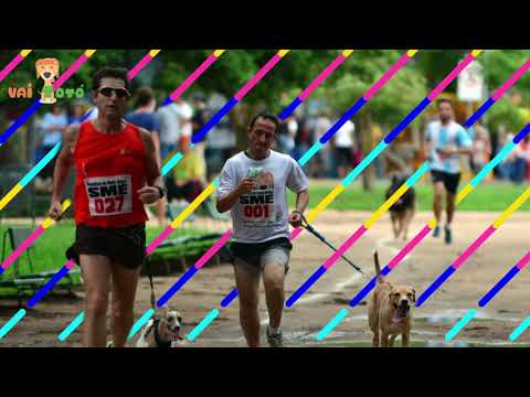 Vai Totó Corrida e Caminhada Beneficente - 2016