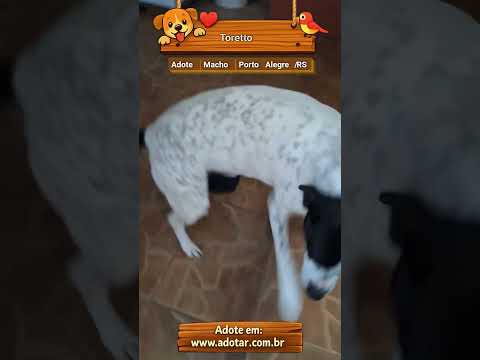 Vídeo de Toretto 