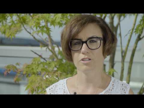 Prostata vesikulären Komplex Fibrotische Prostata