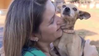 Miniatura do vídeo