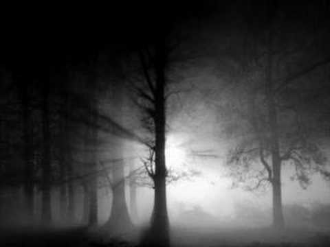 Oxid Project Sun Breath  HQ